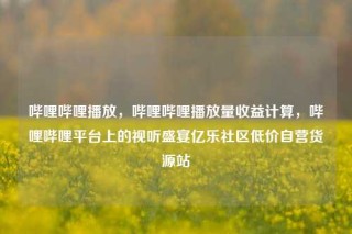 哔哩哔哩播放，哔哩哔哩播放量收益计算，哔哩哔哩平台上的视听盛宴亿乐社区低价自营货源站