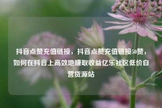 抖音点赞充值链接，抖音点赞充值链接50赞，如何在抖音上高效地赚取收益亿乐社区低价自营货源站