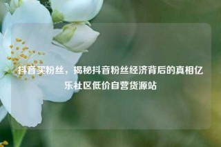 抖音买粉丝，揭秘抖音粉丝经济背后的真相亿乐社区低价自营货源站