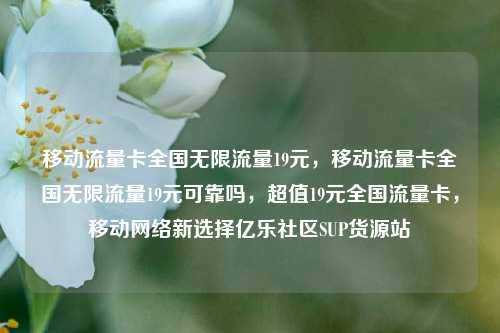 移动流量卡全国无限流量19元	，移动流量卡全国无限流量19元可靠吗，超值19元全国流量卡，移动网络新选择亿乐社区SUP货源站  第1张