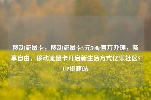 移动流量卡，移动流量卡9元300g官方办理	，畅享自由，移动流量卡开启新生活方式亿乐社区SUP货源站  第1张