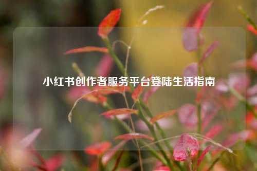 小红书创作者服务平台登陆生活指南  第1张