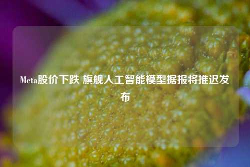 Meta股价下跌 旗舰人工智能模型据报将推迟发布  第1张