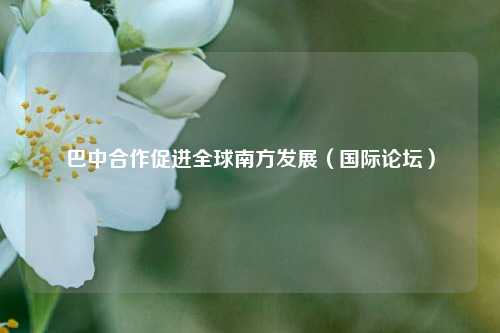 巴中合作促进全球南方发展（国际论坛）  第1张