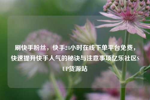 刷快手粉丝，快手24小时在线下单平台免费，快速提升快手人气的秘诀与注意事项亿乐社区SUP货源站  第1张