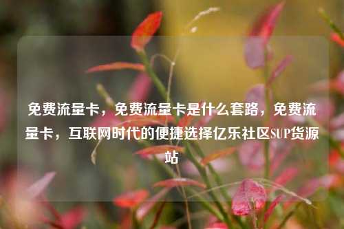 免费流量卡，免费流量卡是什么套路，免费流量卡	，互联网时代的便捷选择亿乐社区SUP货源站  第1张