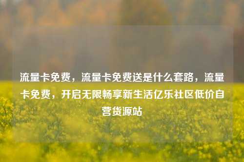流量卡免费，流量卡免费送是什么套路	，流量卡免费，开启无限畅享新生活亿乐社区低价自营货源站  第1张