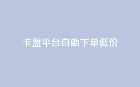 卡盟平台自助下单低价 - 自助下单低价卡盟平台助你轻松购卡！  第1张