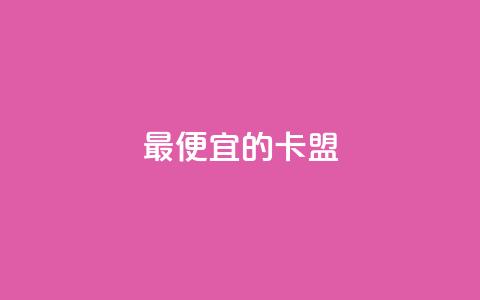 最便宜的卡盟 - 最经济实惠的卡盟服务~  第1张