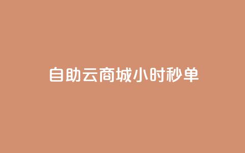 自助云商城24小时秒单 - 全天候自助云商城秒杀服务 助你快速下单~  第1张