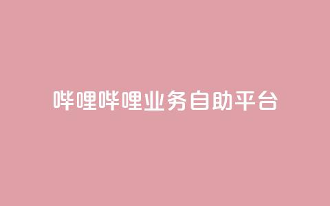 哔哩哔哩业务自助平台 - 哔哩哔哩自助平台：优化您的业务经营!  第1张