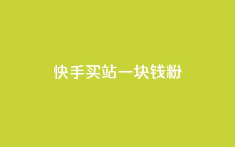 快手买站一块钱1000粉 - 快手一元购站轻松获千粉丝的方法揭秘！  第1张