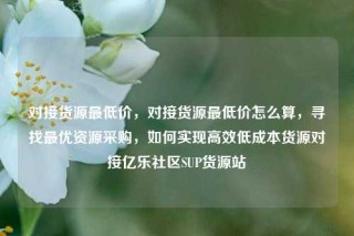 对接货源最低价，对接货源最低价怎么算，寻找最优资源采购，如何实现高效低成本货源对接亿乐社区SUP货源站