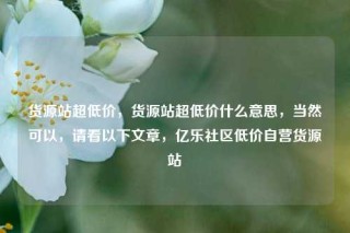 货源站超低价，货源站超低价什么意思，当然可以，请看以下文章，亿乐社区低价自营货源站