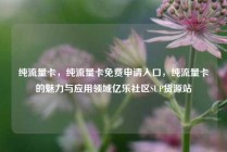 纯流量卡，纯流量卡免费申请入口，纯流量卡的魅力与应用领域亿乐社区SUP货源站