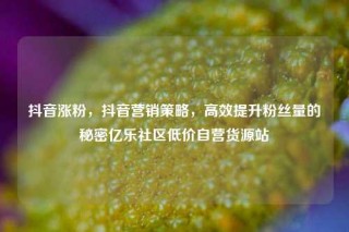 抖音涨粉，抖音营销策略，高效提升粉丝量的秘密亿乐社区低价自营货源站
