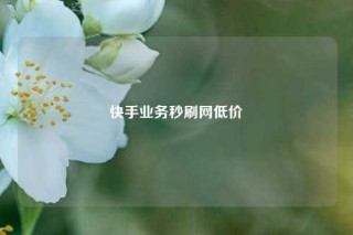 快手业务秒刷网低价