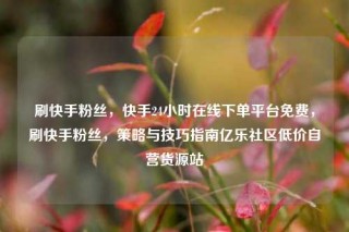 刷快手粉丝，快手24小时在线下单平台免费，刷快手粉丝，策略与技巧指南亿乐社区低价自营货源站