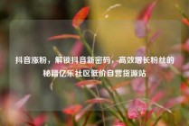 抖音涨粉，解锁抖音新密码，高效增长粉丝的秘籍亿乐社区低价自营货源站