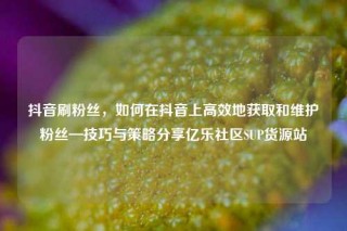 抖音刷粉丝，如何在抖音上高效地获取和维护粉丝—技巧与策略分享亿乐社区SUP货源站