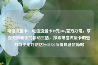 电信流量卡，电信流量卡19元200g官方办理，享受无限畅快的移动生活，探索电信流量卡的魅力与使用方法亿乐社区低价自营货源站