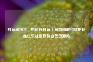 抖音刷粉丝，如何在抖音上高效刷取和维护粉丝亿乐社区低价自营货源站