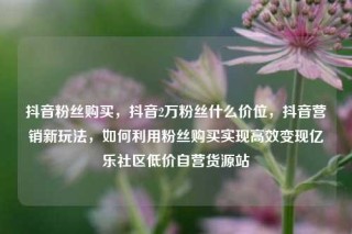 抖音粉丝购买，抖音2万粉丝什么价位，抖音营销新玩法，如何利用粉丝购买实现高效变现亿乐社区低价自营货源站