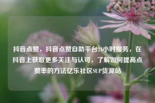 抖音点赞，抖音点赞自助平台24小时服务，在抖音上获取更多关注与认可，了解如何提高点赞率的方法亿乐社区SUP货源站