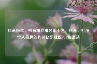 抖音粉丝，抖音粉丝排名前十名，抖音，打造个人品牌的利器亿乐社区SUP货源站