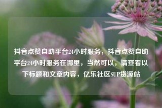 抖音点赞自助平台24小时服务，抖音点赞自助平台24小时服务在哪里，当然可以，请查看以下标题和文章内容，亿乐社区SUP货源站