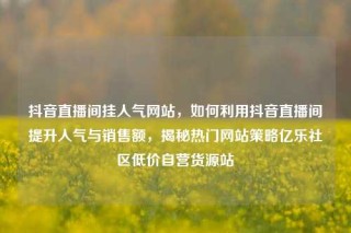 抖音直播间挂人气网站，如何利用抖音直播间提升人气与销售额，揭秘热门网站策略亿乐社区低价自营货源站