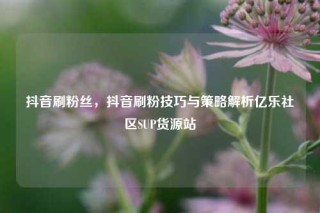 抖音刷粉丝，抖音刷粉技巧与策略解析亿乐社区SUP货源站