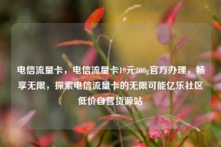 电信流量卡，电信流量卡19元200g官方办理，畅享无限，探索电信流量卡的无限可能亿乐社区低价自营货源站