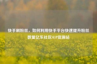 快手刷粉丝，如何利用快手平台快速提升粉丝数量亿乐社区SUP货源站
