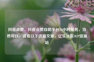 抖音点赞，抖音点赞自助平台24小时服务，当然可以，请看以下这篇文章，亿乐社区SUP货源站