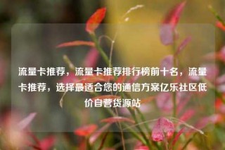 流量卡推荐，流量卡推荐排行榜前十名，流量卡推荐，选择最适合您的通信方案亿乐社区低价自营货源站