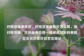 对接货源最低价，对接货源最低价怎么算，接对接货源，找到最惠价格—揭秘高效采购策略亿乐社区低价自营货源站