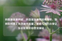 抖音涨流量网站，抖音涨流量网站有哪些，如何在抖音上有效提升流量，策略与技巧分享亿乐社区低价自营货源站
