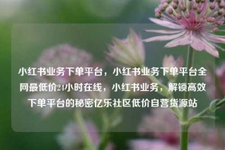 小红书业务下单平台，小红书业务下单平台全网最低价24小时在线，小红书业务，解锁高效下单平台的秘密亿乐社区低价自营货源站