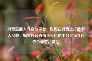 抖音直播人气自助平台，如何在抖音上打造个人品牌，探索抖音直播人气自助平台亿乐社区低价自营货源站
