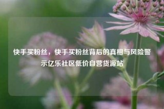 快手买粉丝，快手买粉丝背后的真相与风险警示亿乐社区低价自营货源站