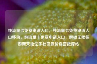 纯流量卡免费申请入口，纯流量卡免费申请入口移动，纯流量卡免费申请入口，解锁无限畅游新天地亿乐社区低价自营货源站
