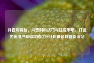 抖音刷粉丝，抖音刷粉技巧与注意事项，打造优质用户基础攻略亿乐社区低价自营货源站