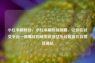 小红书刷粉丝，小红书刷粉丝攻略，让你在社交平台一夜爆红的秘密武器亿乐社区低价自营货源站