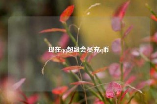 现在qq超级会员充q币