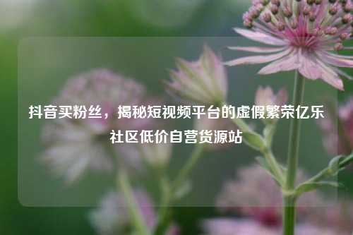 抖音买粉丝，揭秘短视频平台的虚假繁荣亿乐社区低价自营货源站  第1张