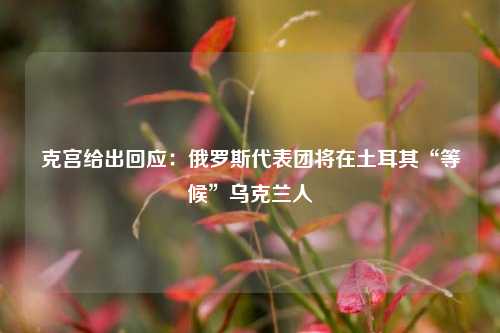 克宫给出回应：俄罗斯代表团将在土耳其“等候”乌克兰人  第1张