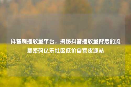 抖音刷播放量平台，揭秘抖音播放量背后的流量密码亿乐社区低价自营货源站  第1张