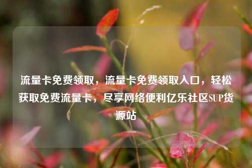 流量卡免费领取，流量卡免费领取入口，轻松获取免费流量卡，尽享网络便利亿乐社区SUP货源站  第1张
