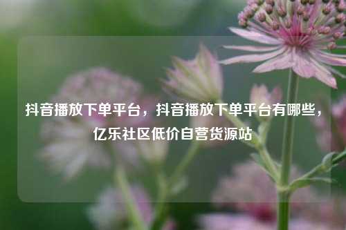 抖音播放下单平台，抖音播放下单平台有哪些，亿乐社区低价自营货源站  第1张